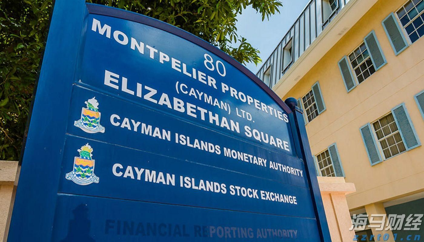 “稀客”紫背椋鸟到访福建