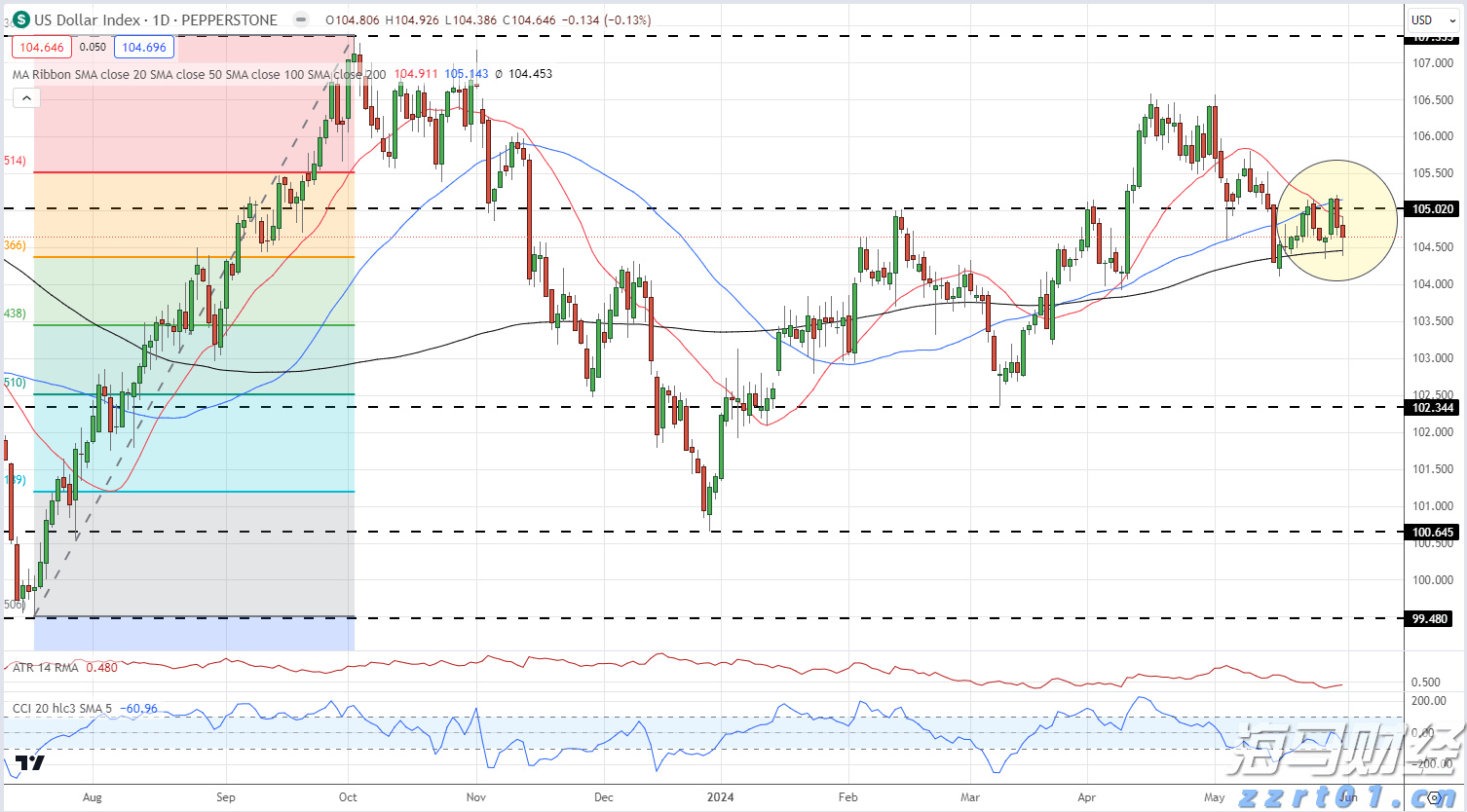 岭师健儿闪耀省大运会赛场